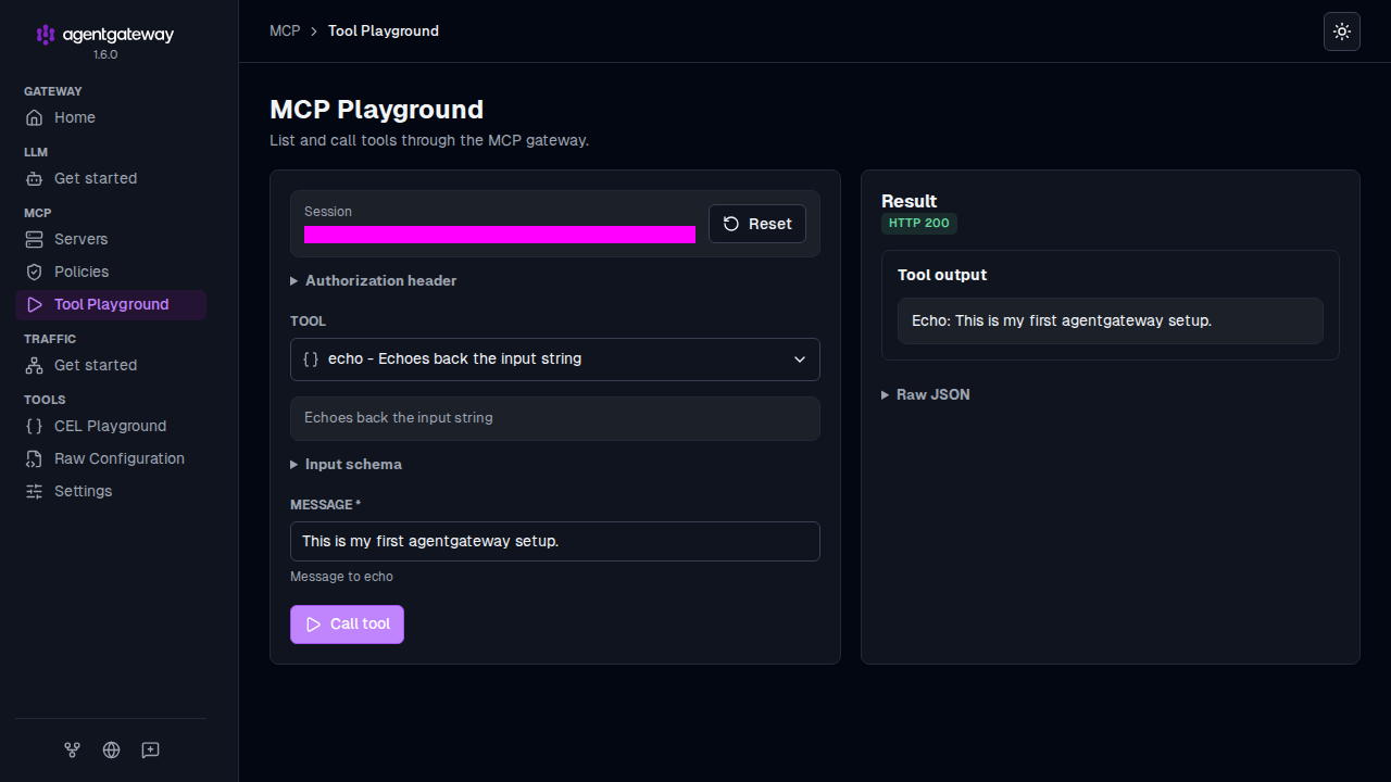 MCP Playground with the echo tool selected, a message entered, and the tool output Echo: This is my first agentgateway setup.