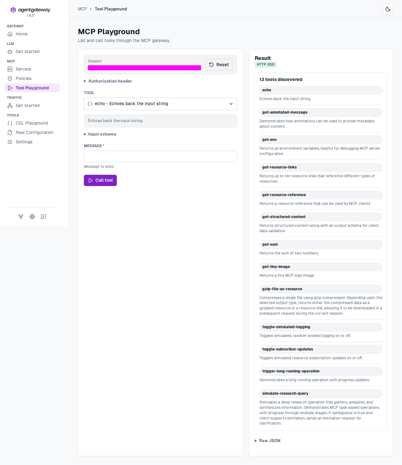 MCP Playground with the echo tool selected and a list of 13 discovered tools in the Result panel